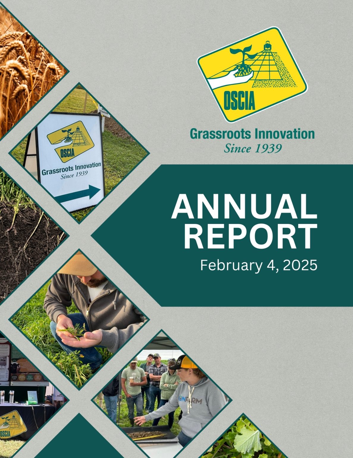 Annual Report 2025